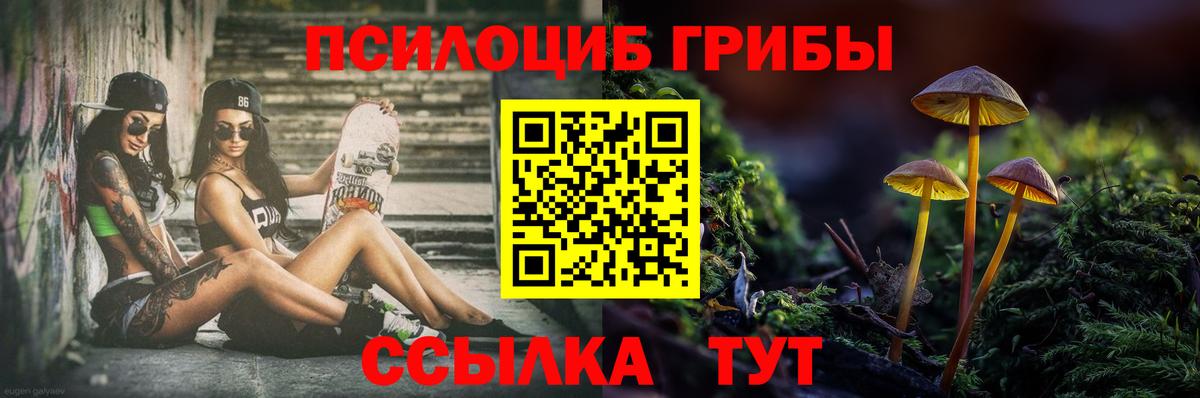 Псилоцибиновые грибы MAGIC MUSHROOMS Апатиты